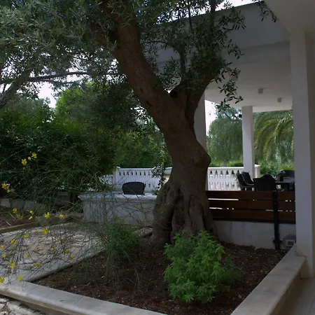 Dei Tigli - Trulli E Relax 别墅