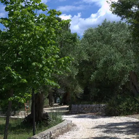 别墅 Dei Tigli - Trulli E Relax